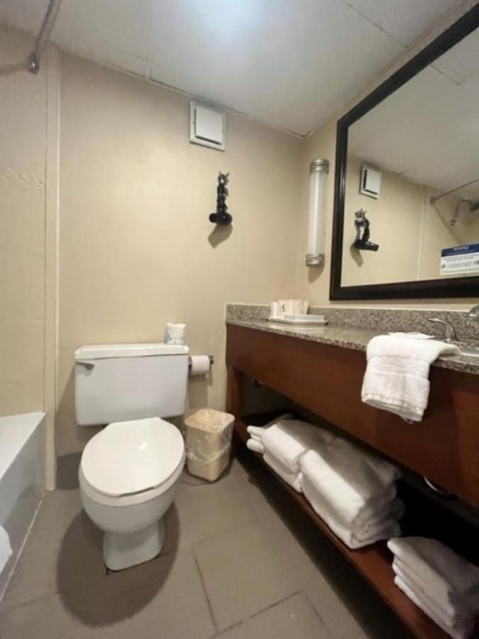 King Room - Non-Smoking at Comfort Inn Bloomington near University