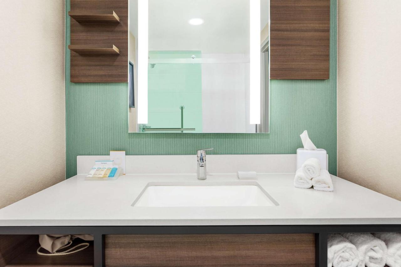 Premium King Room at Hilton Garden Inn Allentown Bethlehem Airport