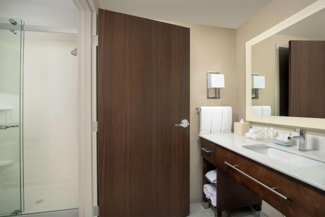 One-Bedroom King Suite - Non-Smoking at Homewood Suites by Hilton Austin Downtown