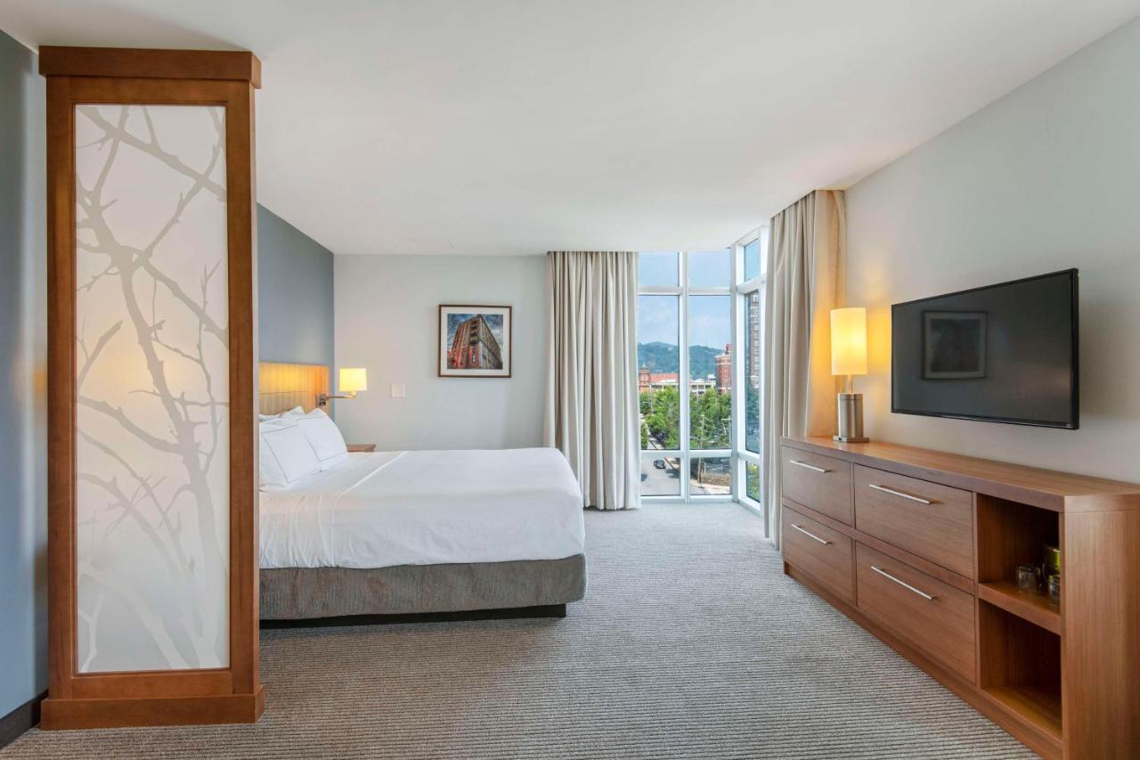 Corner King Room with City View at DoubleTree by Hilton Asheville Downtown