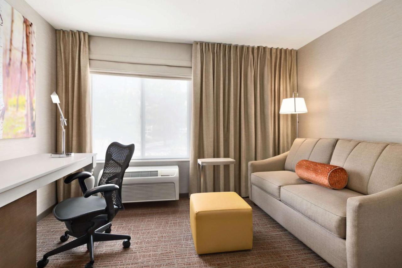 King Room with Sofa Bed at Hilton Garden Inn - Flagstaff