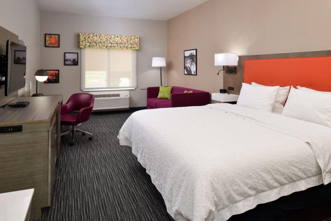 King Room with Sofa Bed at Hampton Inn Fort Stockton