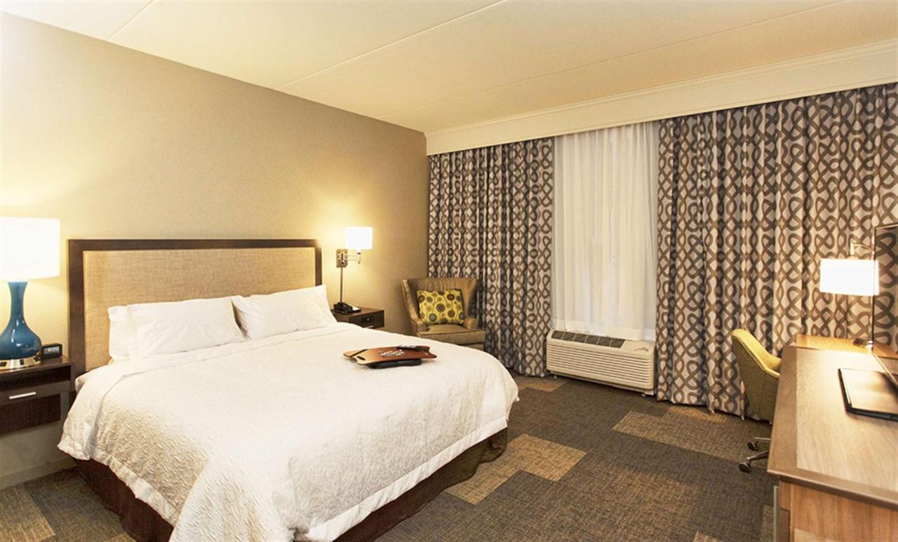 King Room - Disability Access/Non-Smoking at Hampton Inn Hibbing