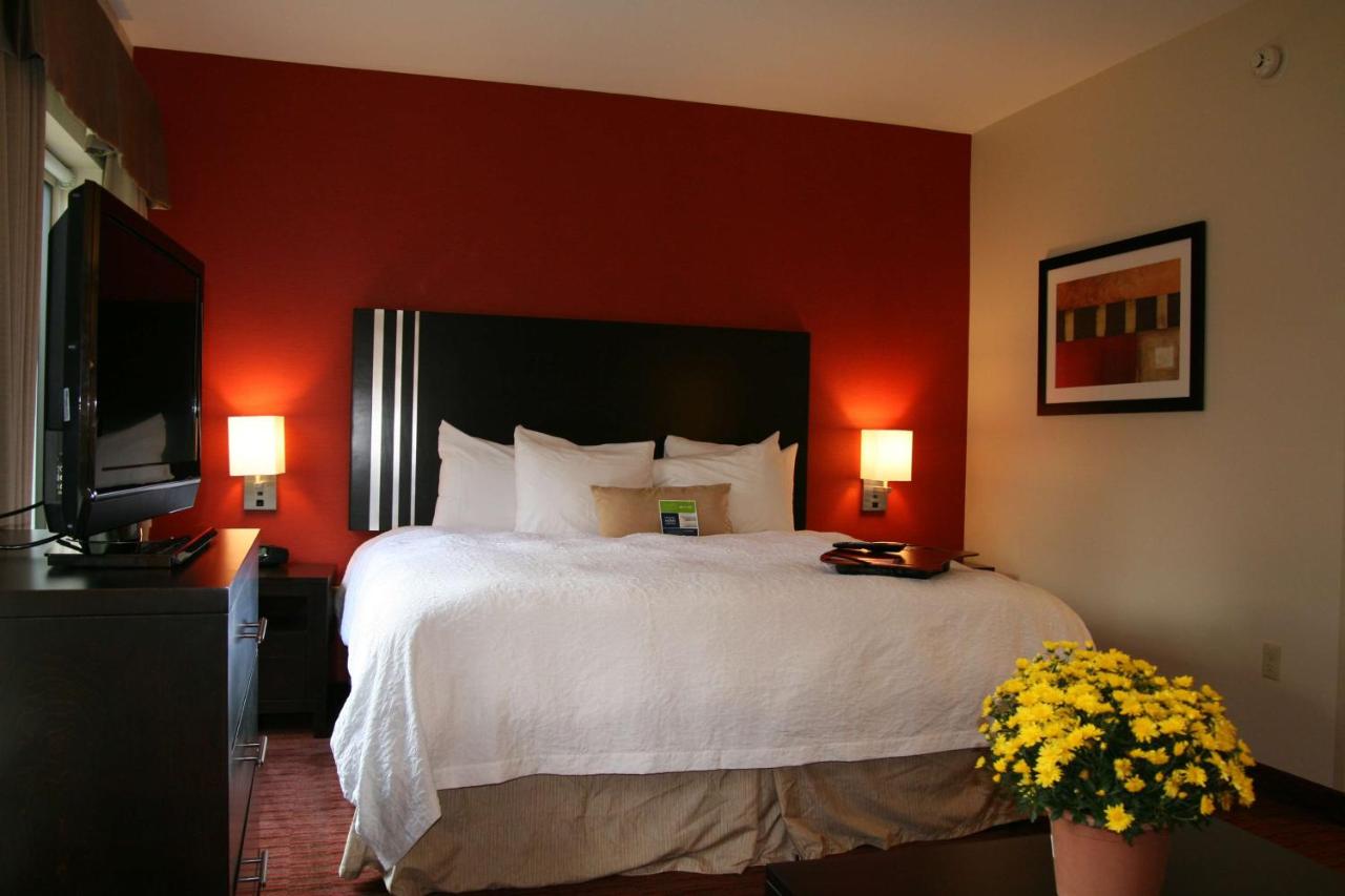 Non-Smoking King Studio Suite at Hampton Inn & Suites Lebanon