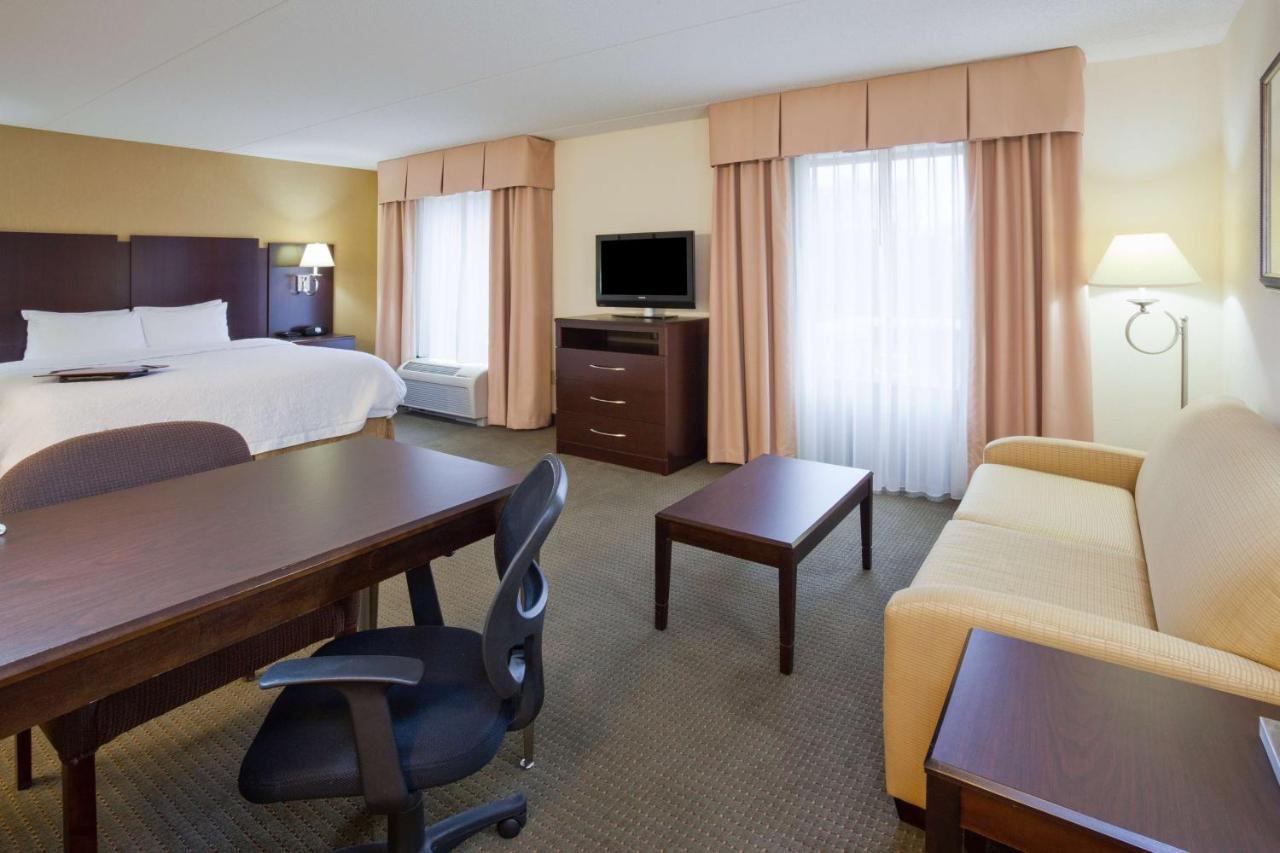 Studio King Suite with Sofa Bed - Non-Smoking at Hampton Inn & Suites Lino Lakes
