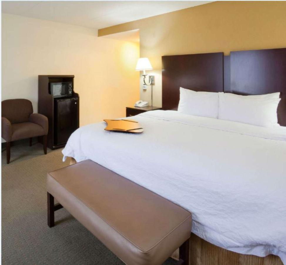 King Studio with Roll In Shower - Disability Access/Non-Smoking at Hampton Inn & Suites Lino Lakes