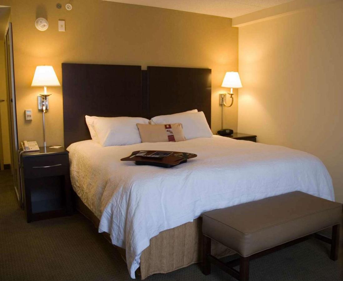 King Room - Non-Smoking at Hampton Inn & Suites Lino Lakes