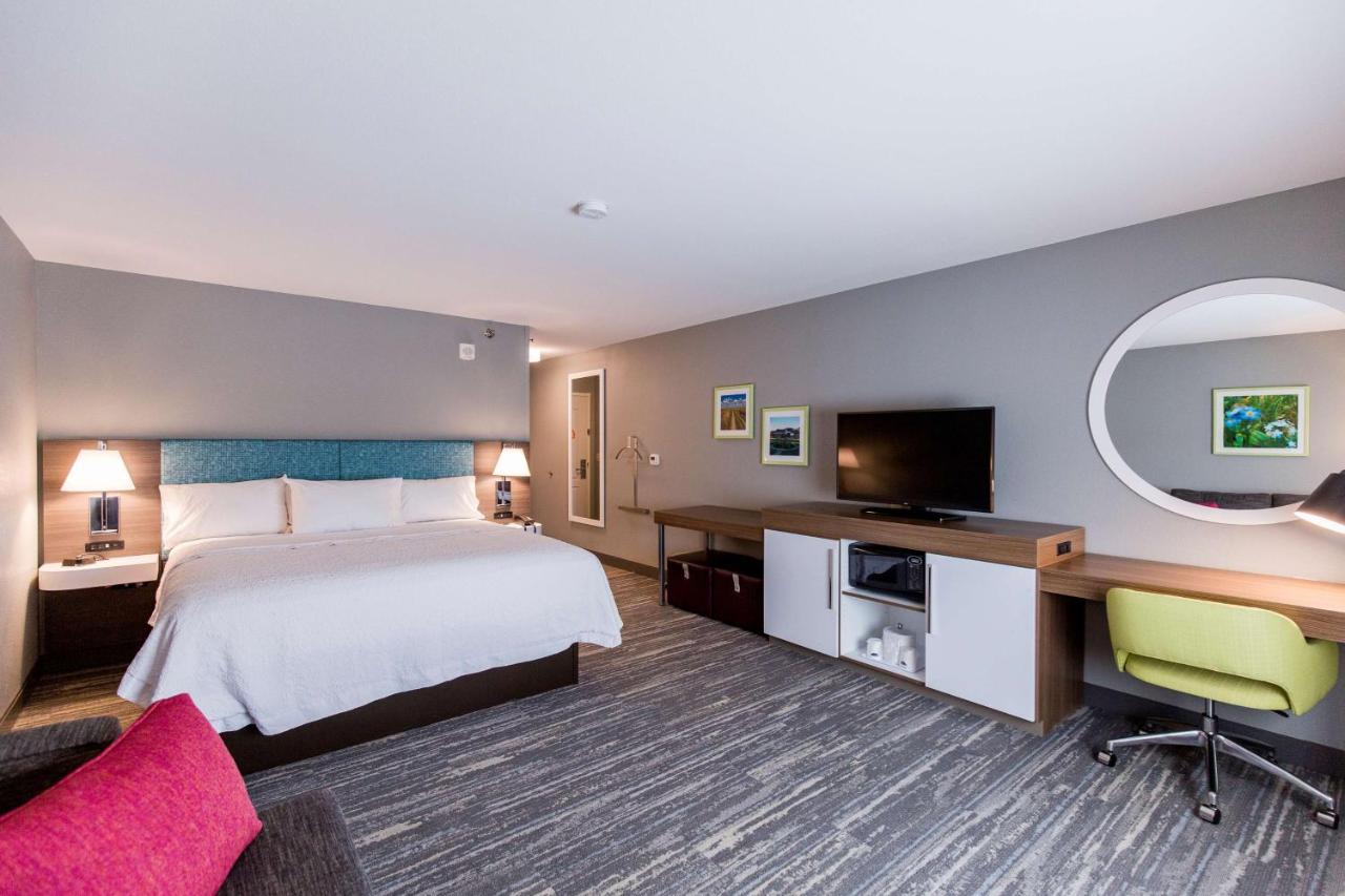 Deluxe King Room at Hampton Inn Bismarck