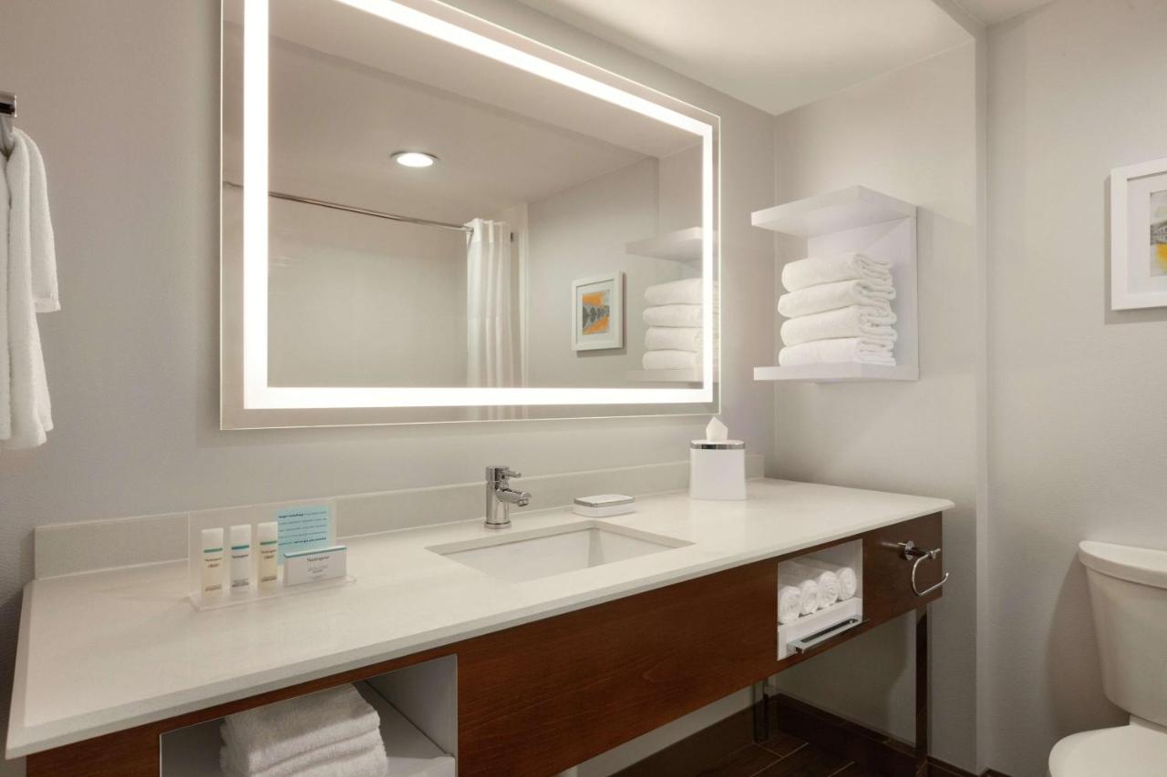 Non-Smoking King Deluxe Room at Hampton Inn Dulles - Cascades
