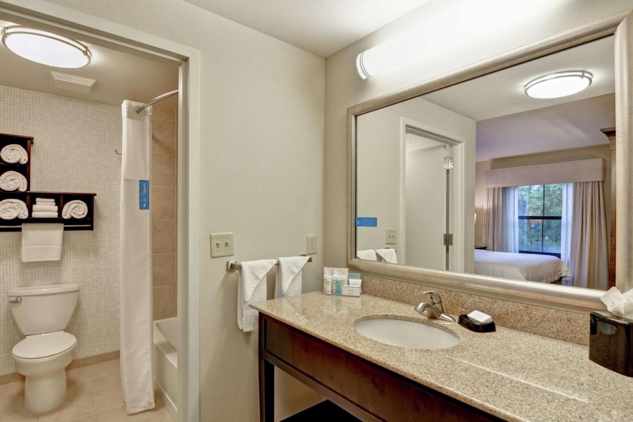 King Studio with Sofa Bed at Hampton Inn Tunkhannock