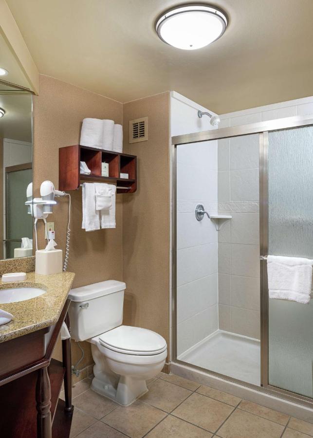 King Room - Non-Smoking at Hampton Inn Tuscaloosa-University