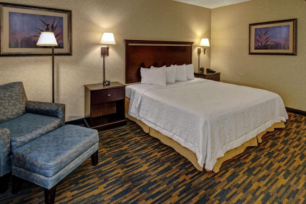 King Room - Accessible with Bathtub - Non-Smoking at Hampton Inn Roanoke Rapids, NC