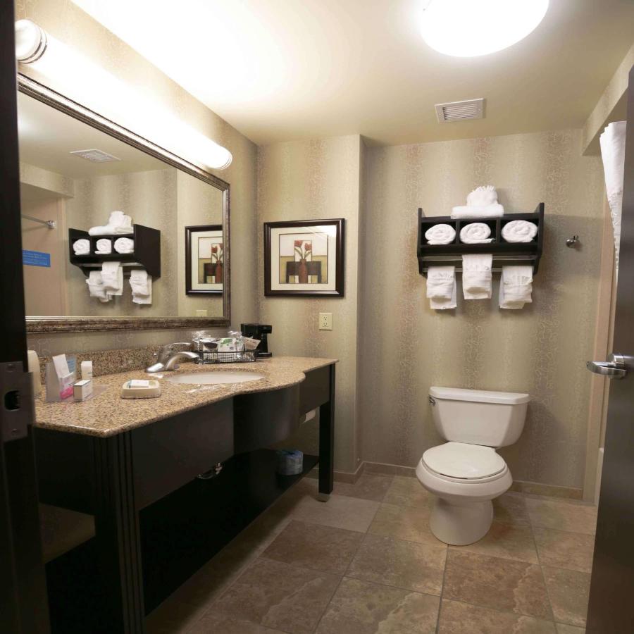 King Studio with Sofa Bed - Non-Smoking at Hampton Inn & Suites McAlester