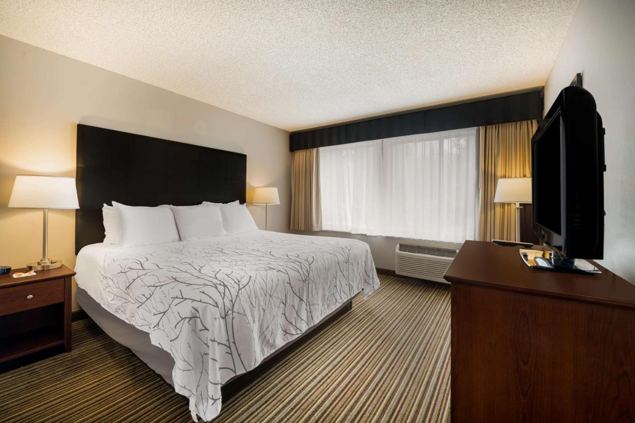 | Best Western Park Oasis Inn