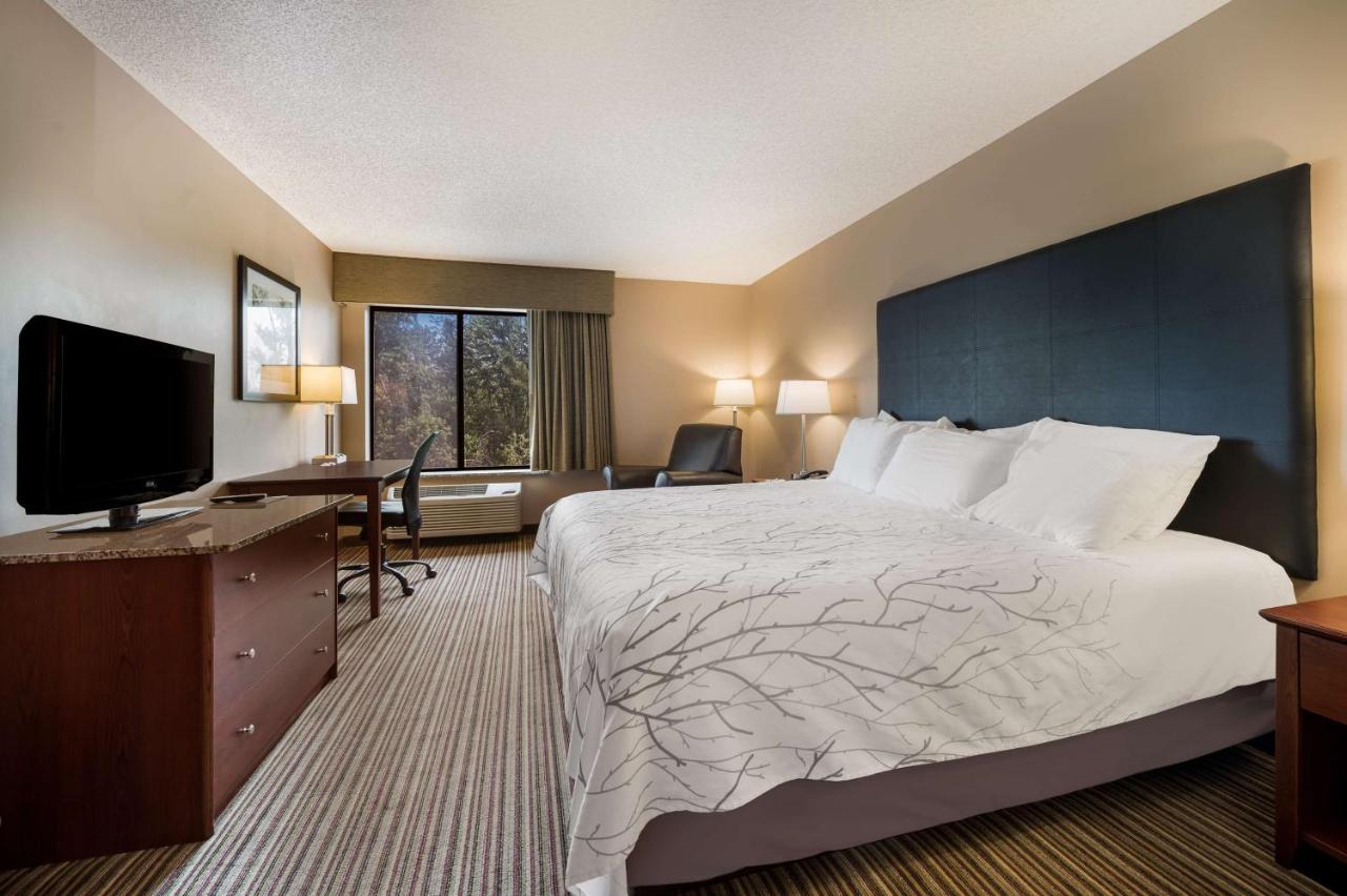 | Best Western Park Oasis Inn