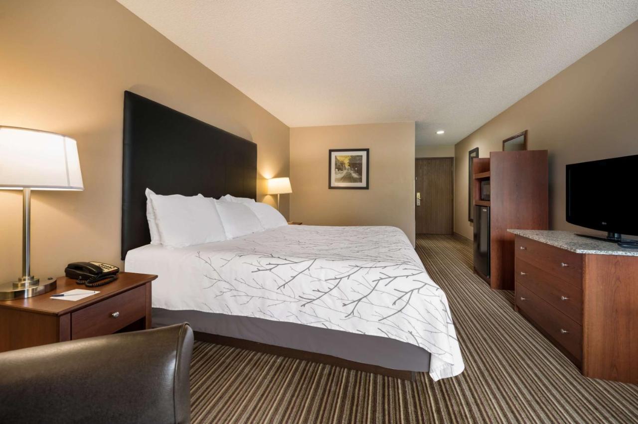 | Best Western Park Oasis Inn