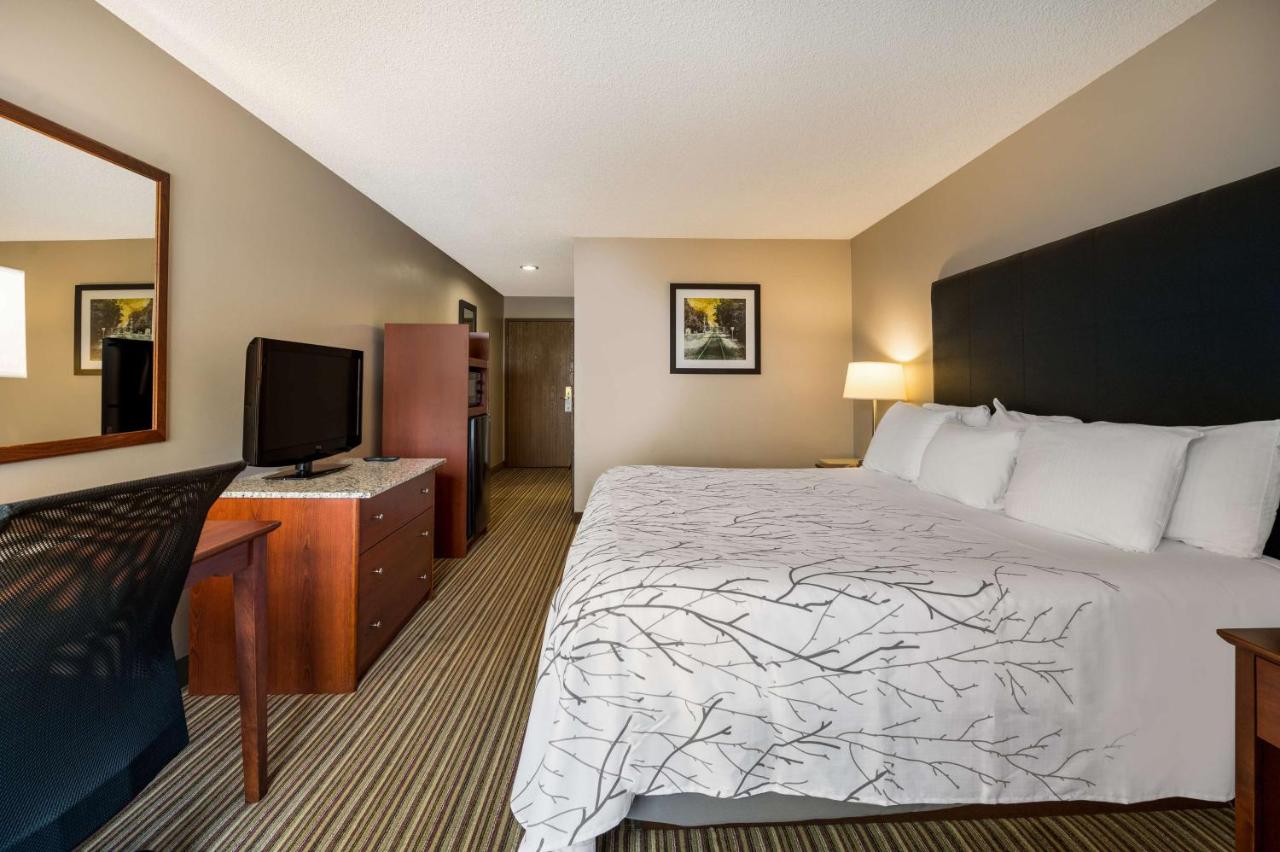 | Best Western Park Oasis Inn