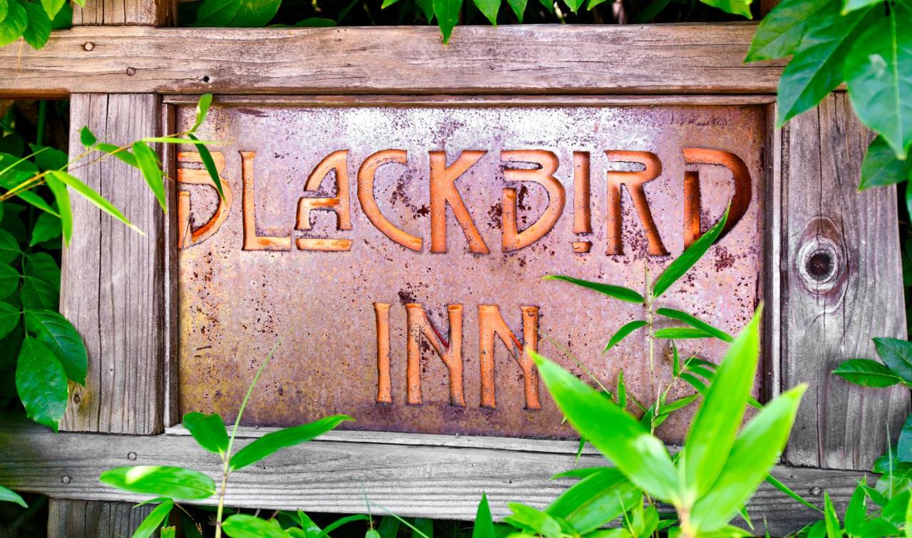  | Blackbird Inn