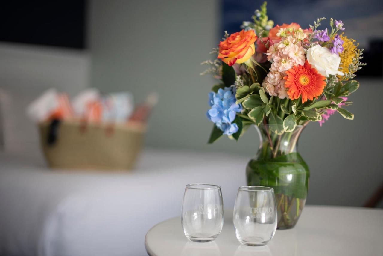 | Cape Colony Inn