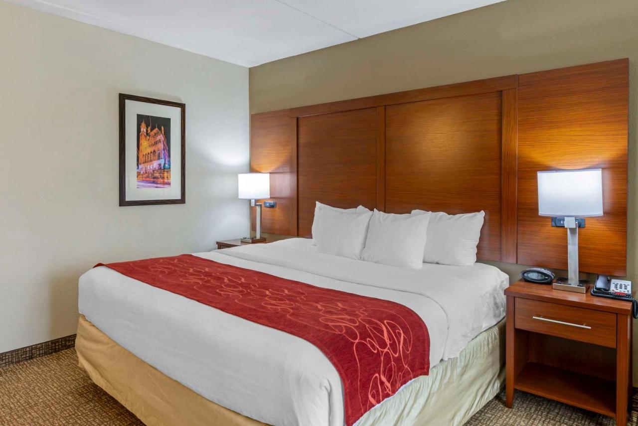 Standard King Room at Comfort Suites At Virginia Center Commons
