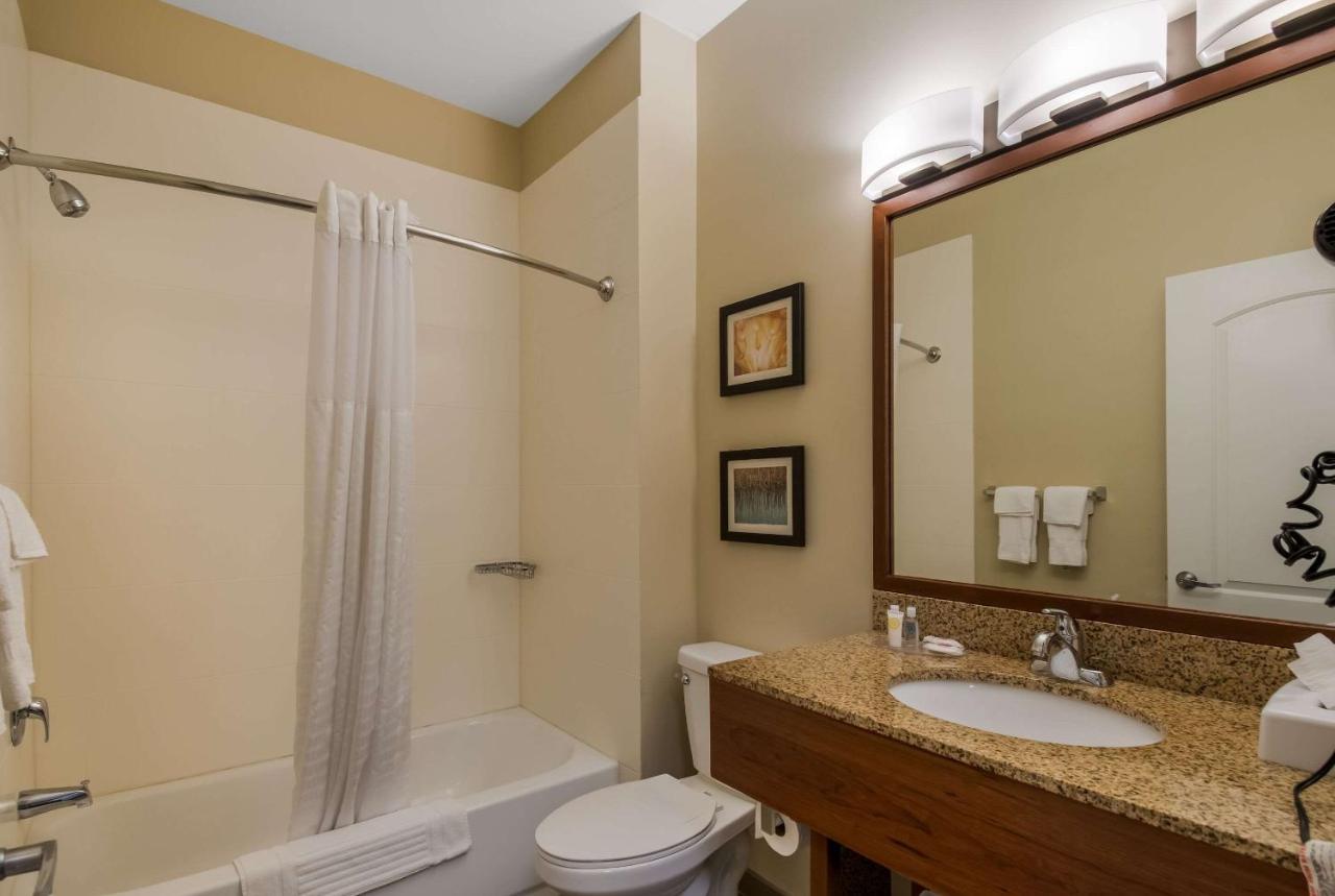 | Comfort Inn & Suites Barnesville - Frackville