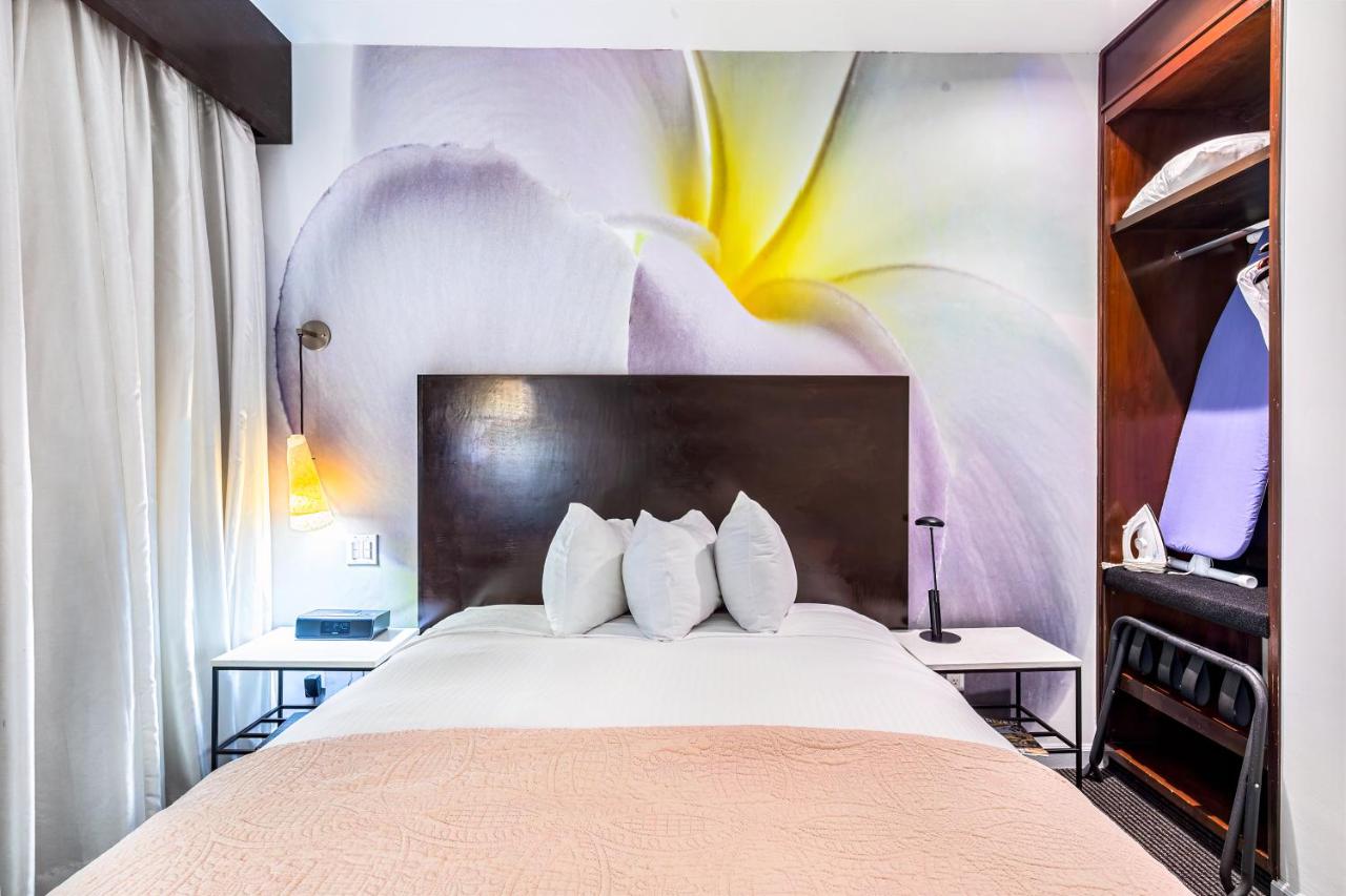  | O Hotel
