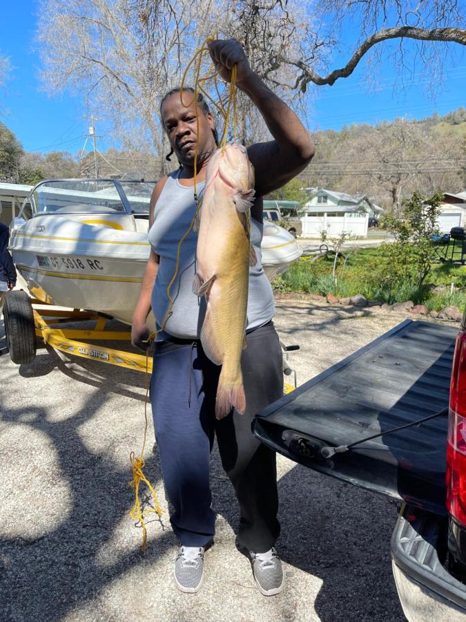 | OMEO Clearlake oaks