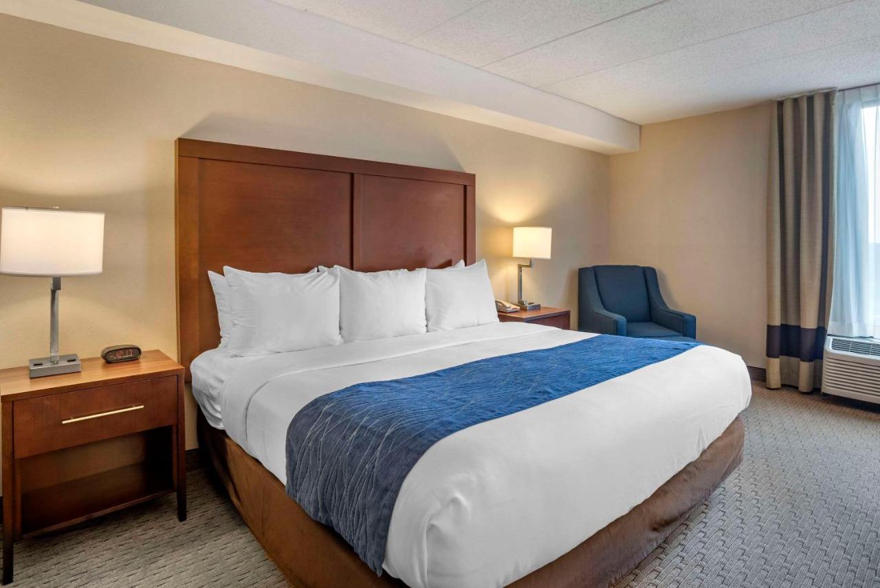 King Room - Non-Smoking at Comfort Inn Shady Grove - Gaithersburg - Rockville