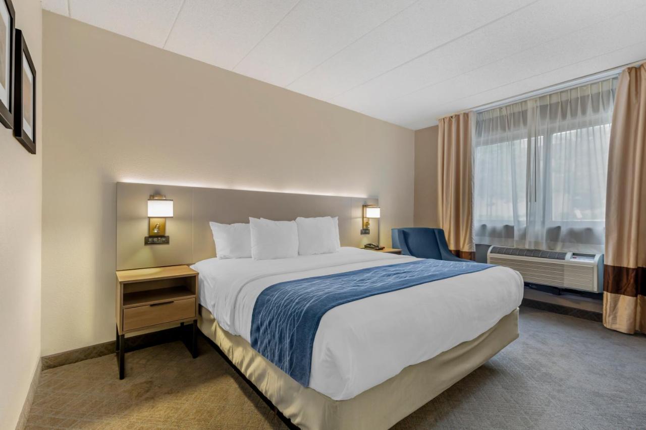 King Room with Accessible Tub - Accessible/Non-Smoking at Comfort Inn Herndon - Reston