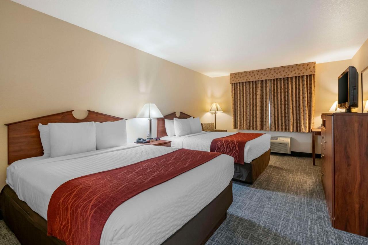 Queen Room with Two Queen Beds - Pet-Friendly/Non-Smoking at SureStay Plus Hotel by Best Western Buffalo
