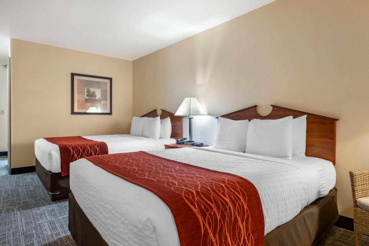 Queen Room with Two Queen Beds - Pet-Friendly/Non-Smoking at SureStay Plus Hotel by Best Western Buffalo