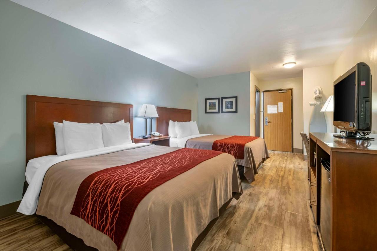 Queen Room with Two Queen Beds - Pet-Friendly/Non-Smoking at SureStay Plus Hotel by Best Western Buffalo