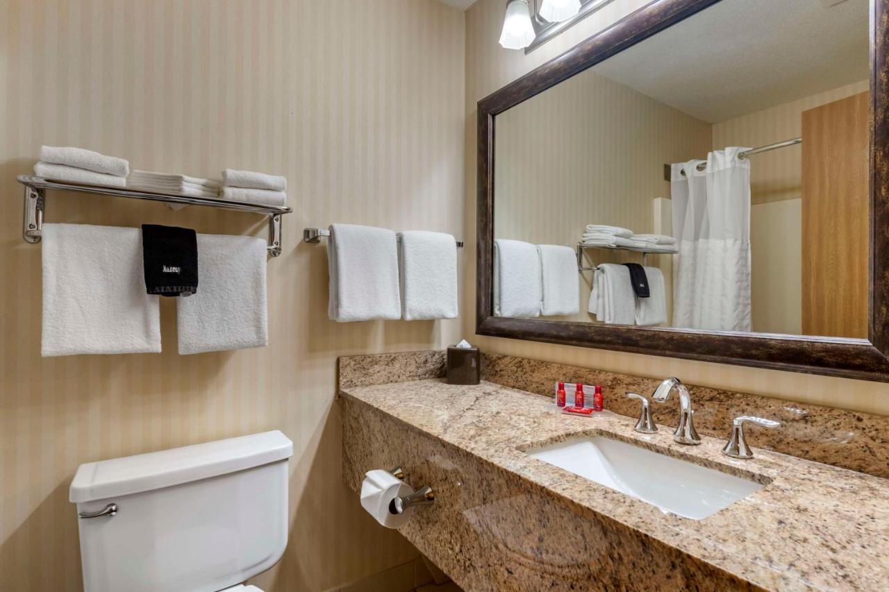 King Room - Non Smoking at SureStay Plus Hotel by Best Western Buffalo