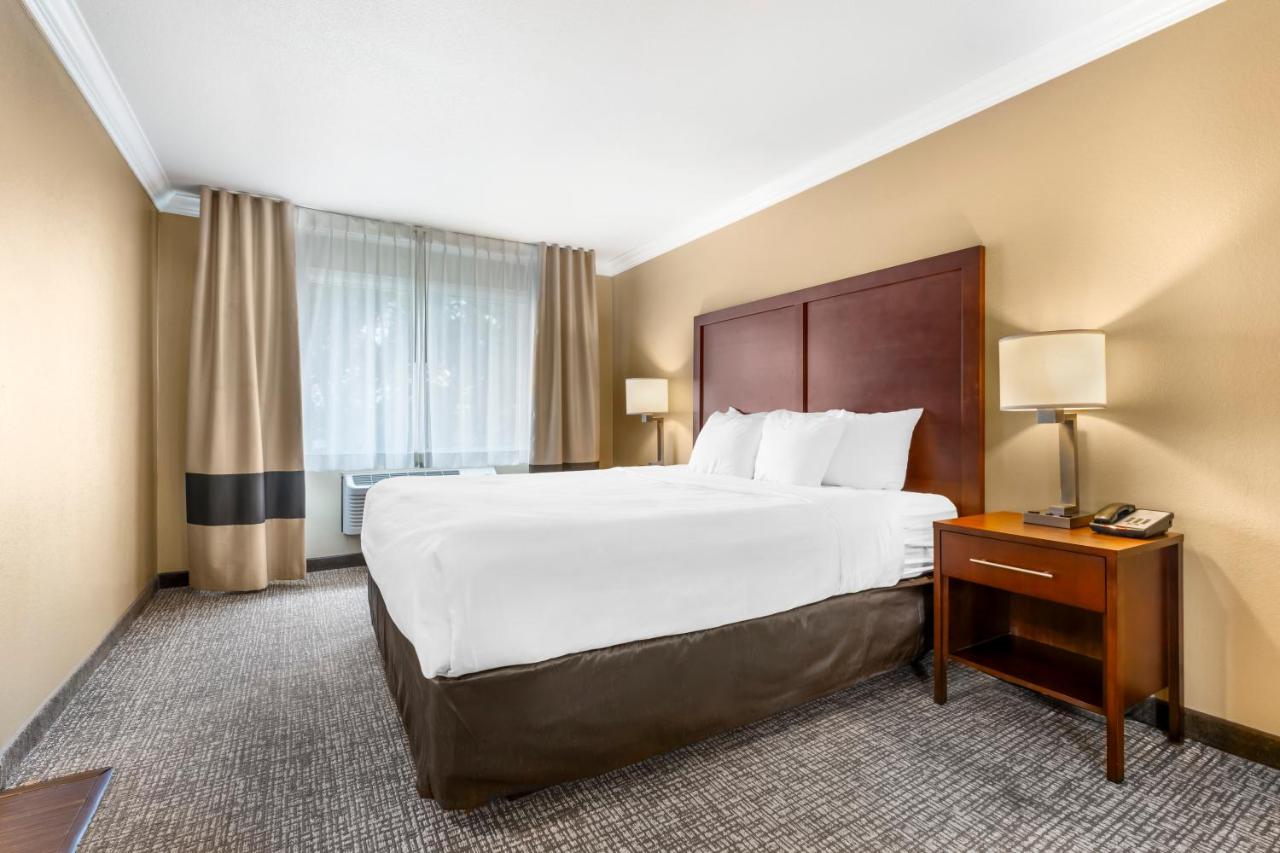 King Suite with Sofa Bed - Non-Smoking at Comfort Inn & Suites Redwood Country
