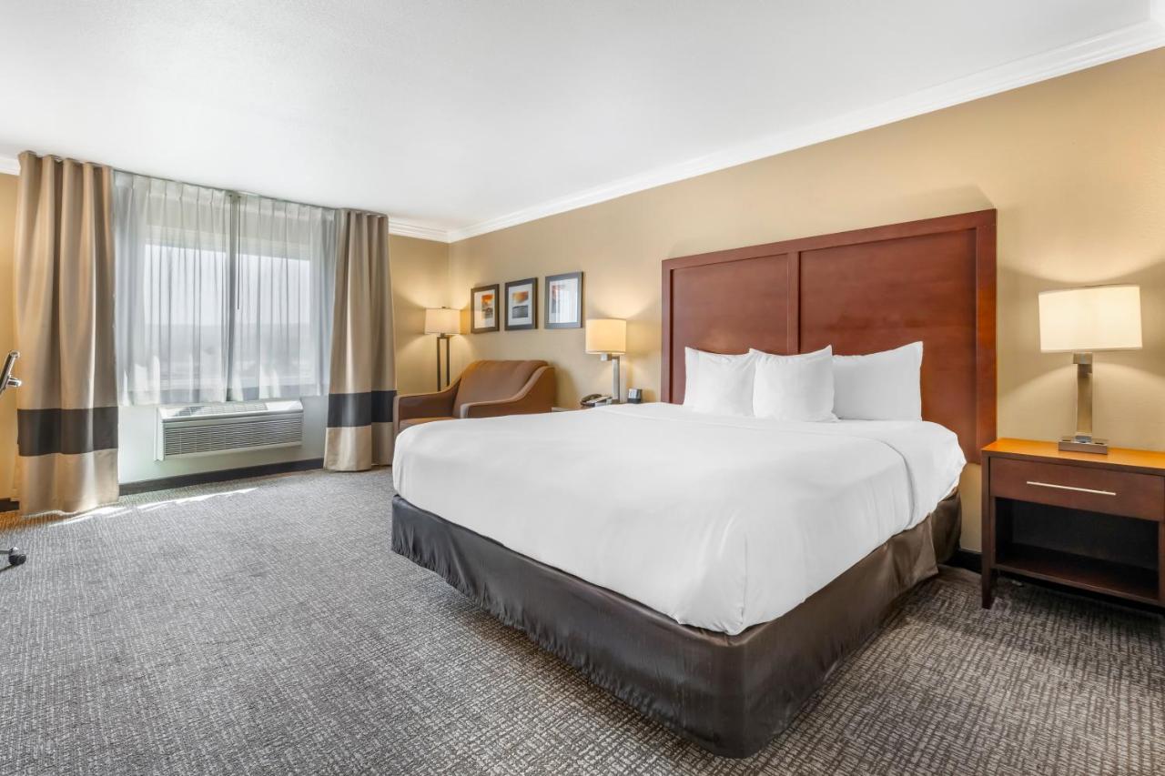 King Room at Comfort Inn & Suites Redwood Country