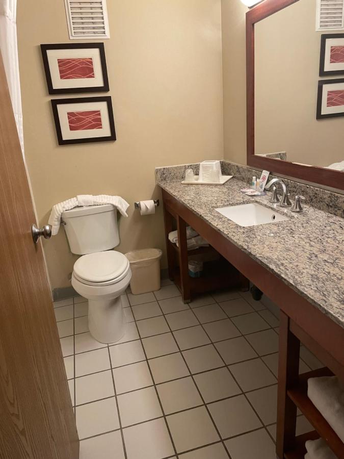King Suite with Sofa Bed - Non-Smoking at Comfort Inn Ellensburg