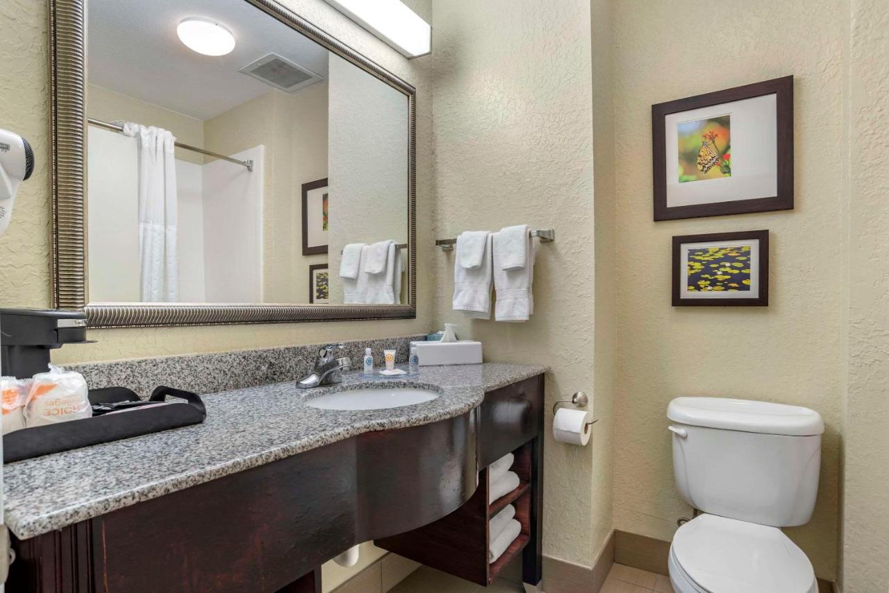 King Suite - Non-Smoking at Comfort Inn & Suites Marianna I-10