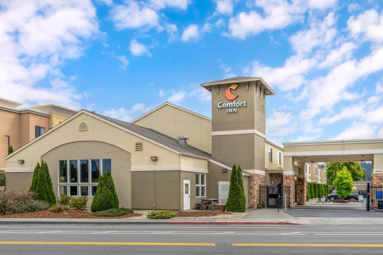  | Comfort Inn Arcata