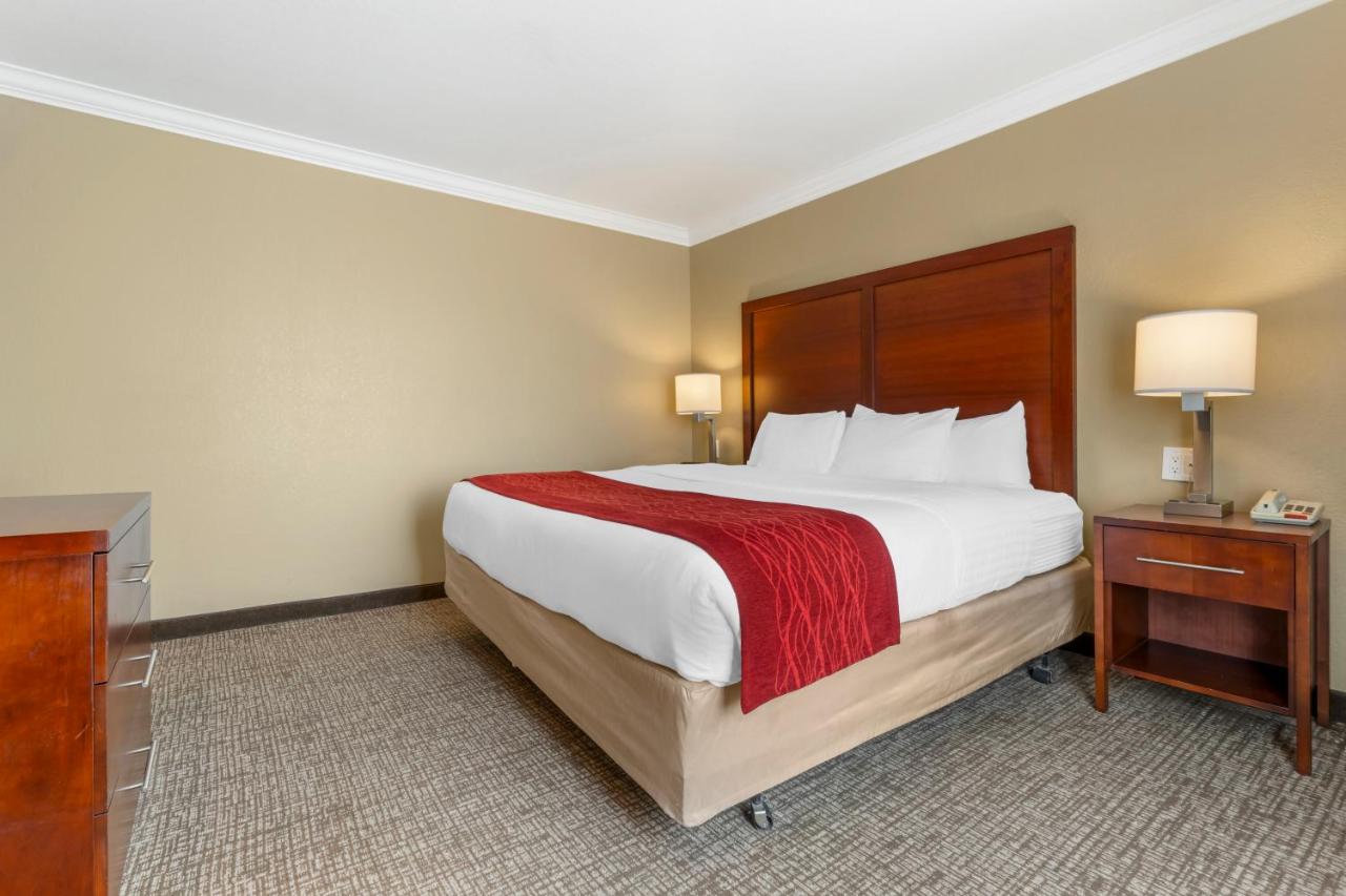  | Comfort Inn Arcata