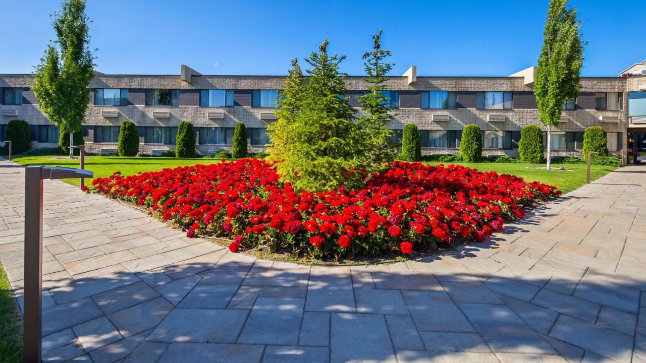| Best Western Plus University Inn