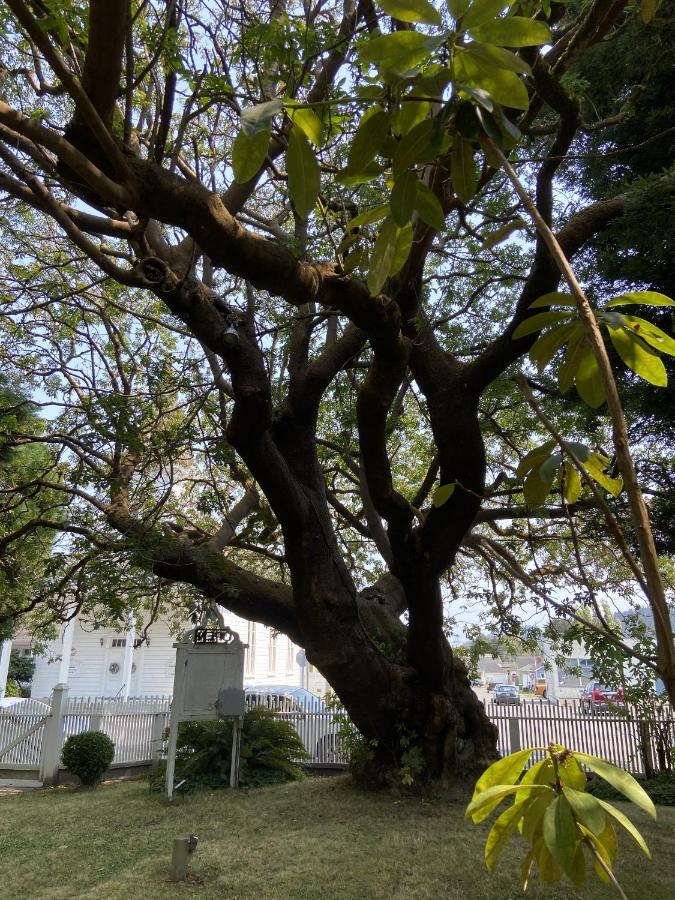| Shaw House Inn