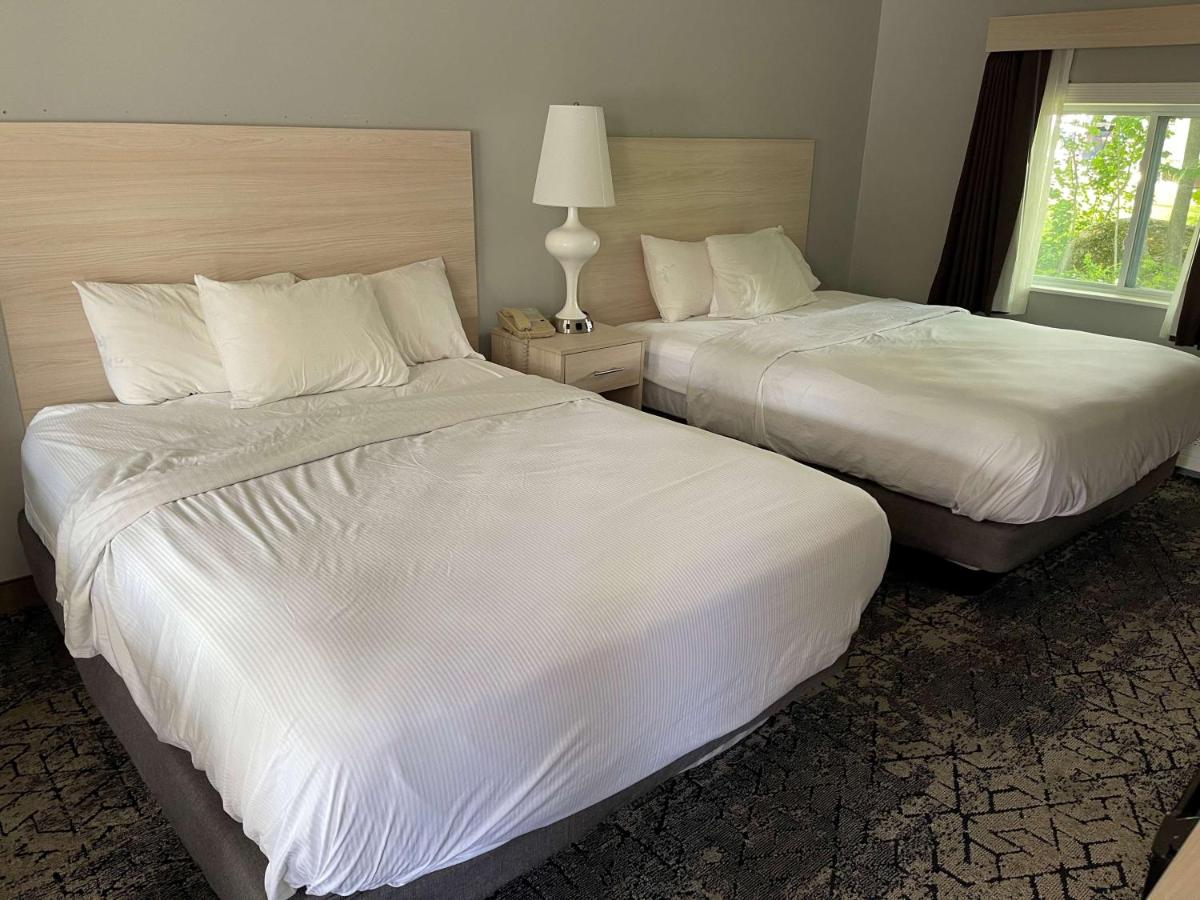 Suite with Three Queen beds (Not Pet-Friendly) at Woodwards White Mountain Resort, BW Signature Collection