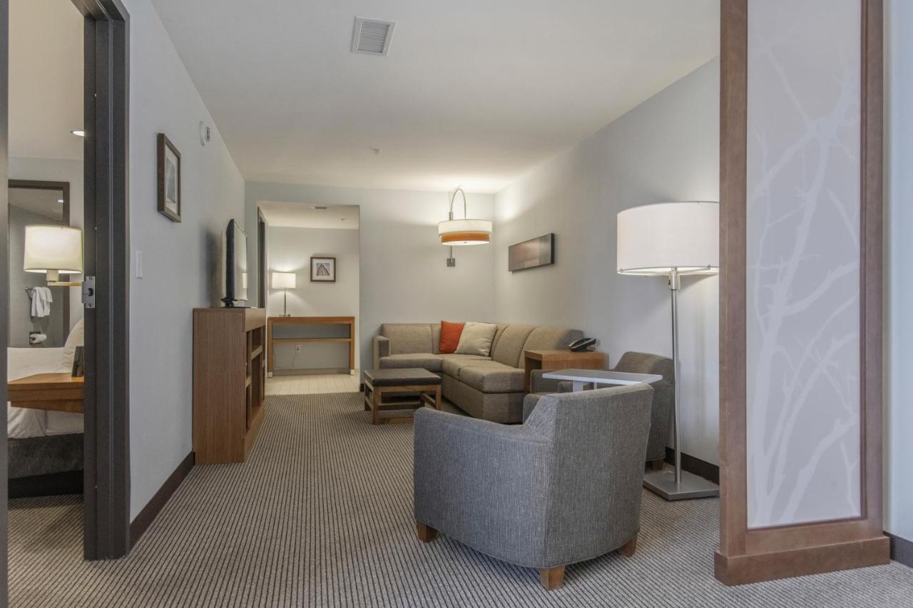 King Suite with Mountain View at DoubleTree by Hilton Asheville Downtown