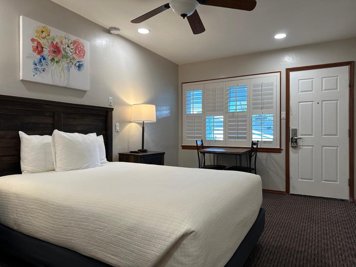Single Room at Bluebird Inn