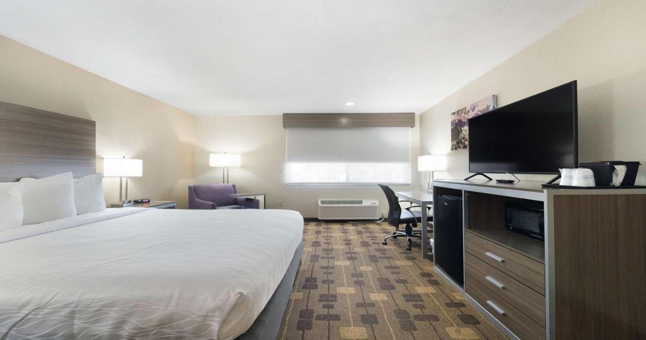 Queen Room at Best Western Amador Inn