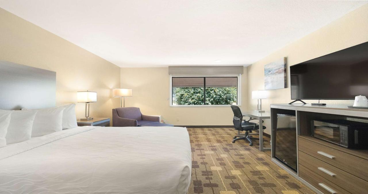 King Room at Best Western Amador Inn