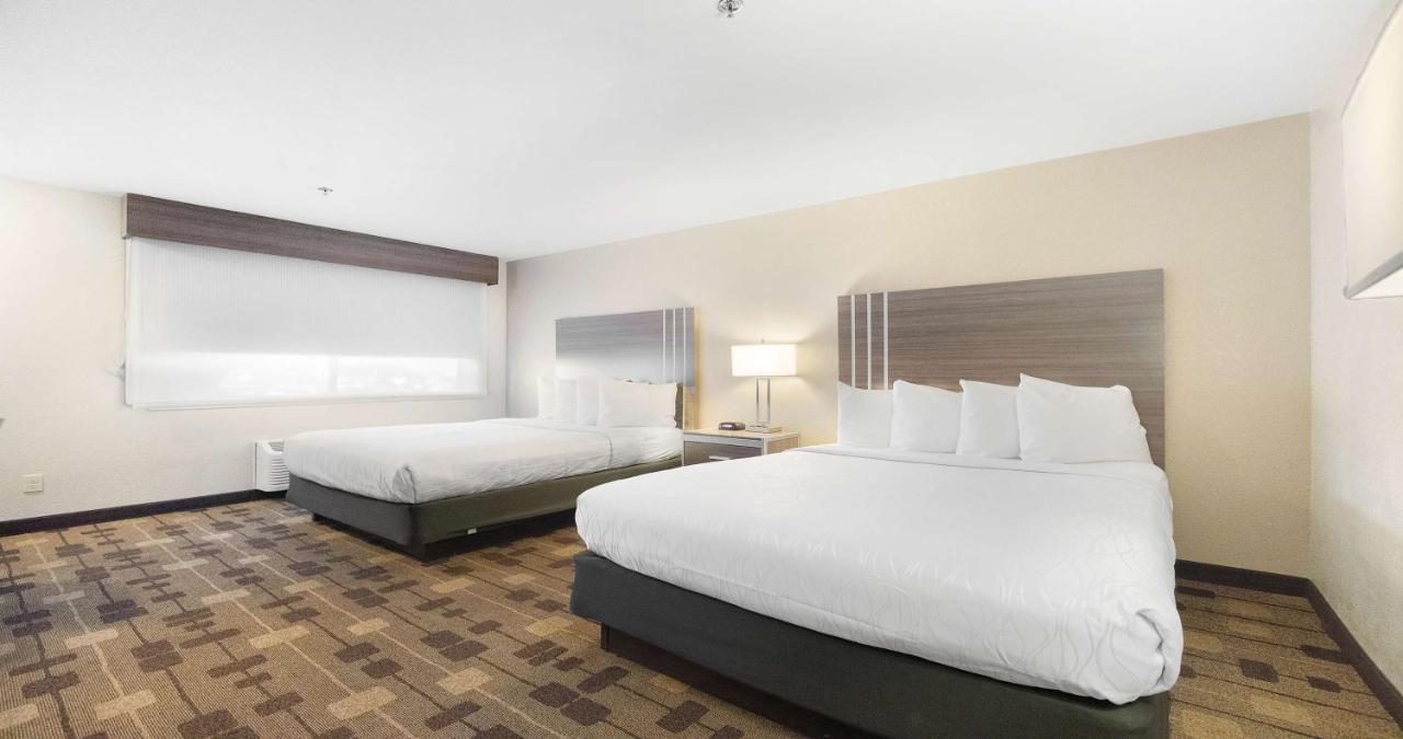 Queen Room with Two Queen Beds and Roll-In Shower - Disability Access at Best Western Amador Inn
