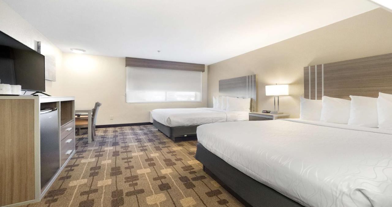 Queen Room with Two Queen Beds and Roll-In Shower - Disability Access at Best Western Amador Inn
