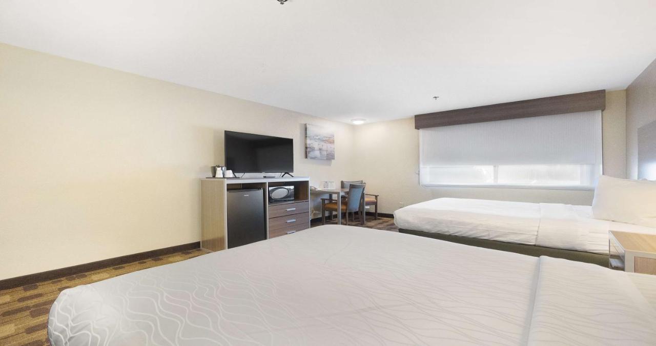 Queen Room with Two Queen Beds and Roll-In Shower - Disability Access at Best Western Amador Inn