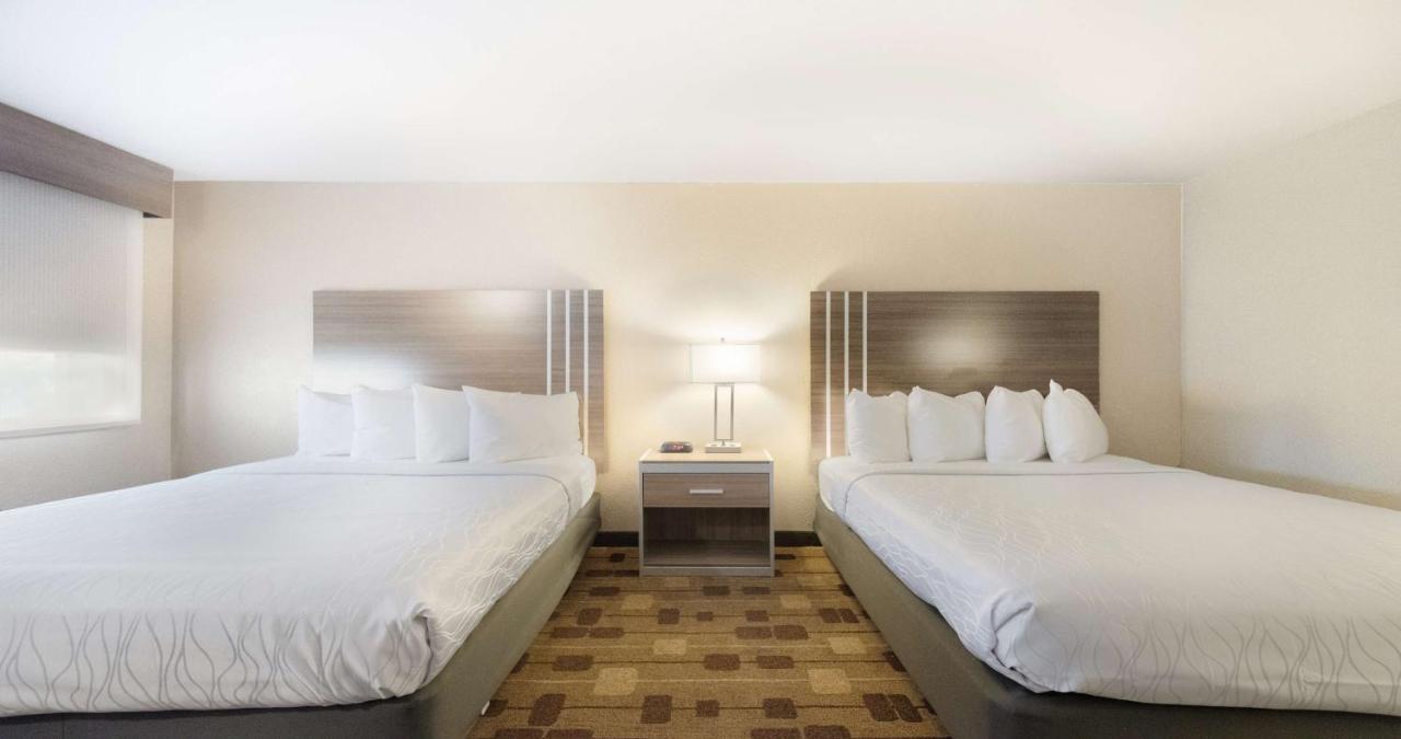 Queen Room with Two Queen Beds - Disability Access at Best Western Amador Inn